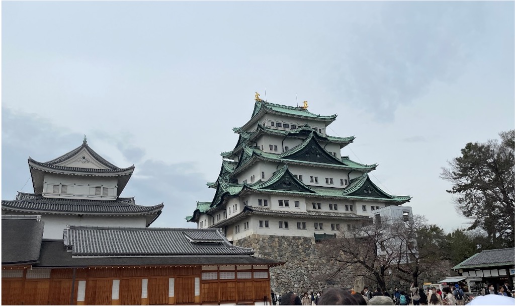 日本の桜シリーズ（名古屋城）